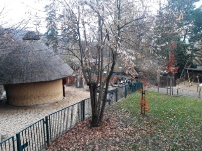 Tiergarten Eisenberg 2
