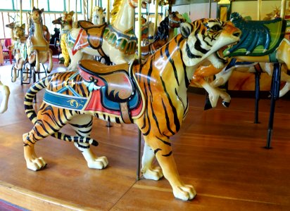 Tiger - Dentzel Carousel, San Francisco Zoo - San Francisco, CA - DSC03414