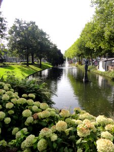 Tiel Rijksmonument 35603 Gracht, langs Veemarkt