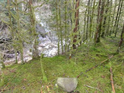 Tiers Breibach (08)