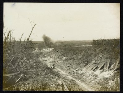 The Road of Death. Sunken road beyond Courcelette, Bestanddeelnr 158-1125