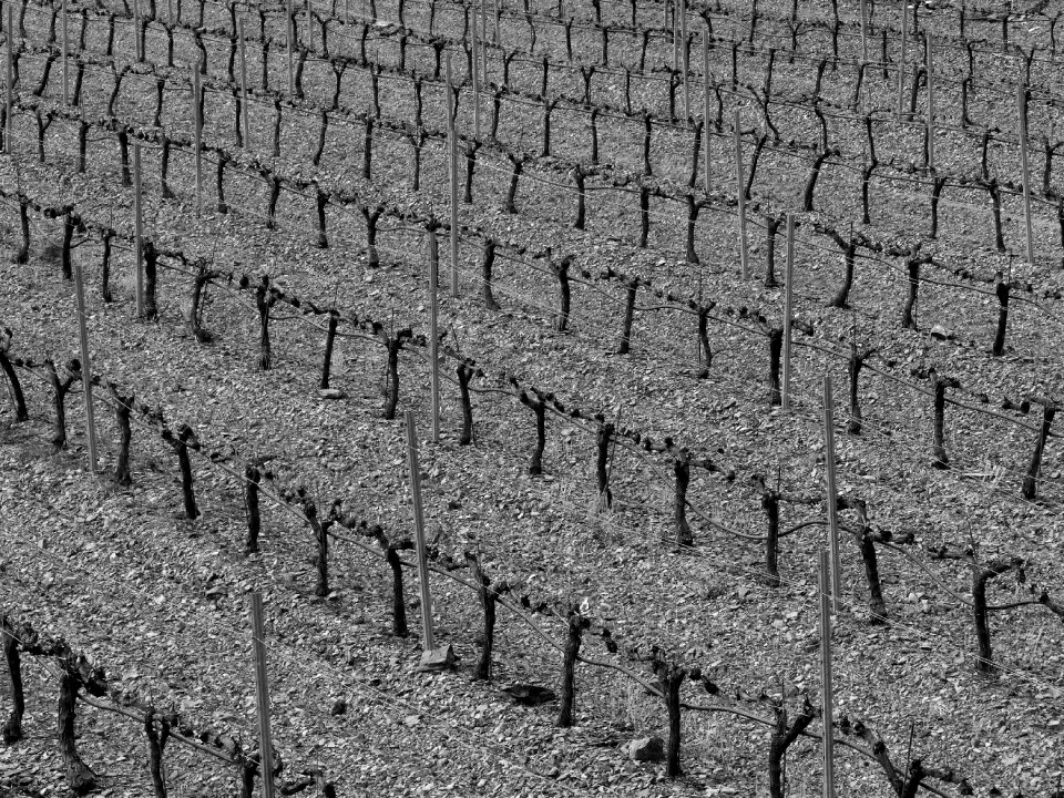 Background abstract priorat