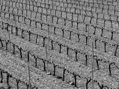 Background abstract priorat