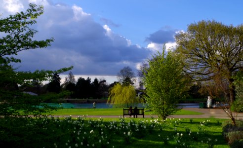 The pond and a bank - Kew Gardens