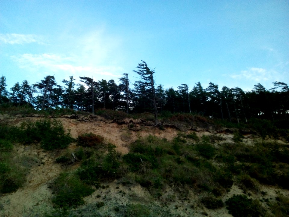 The shores of the Pomor bay. 01
