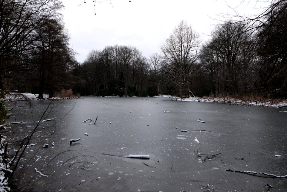 Tiergarten Berlin with ice and snow 2021-02-06 02