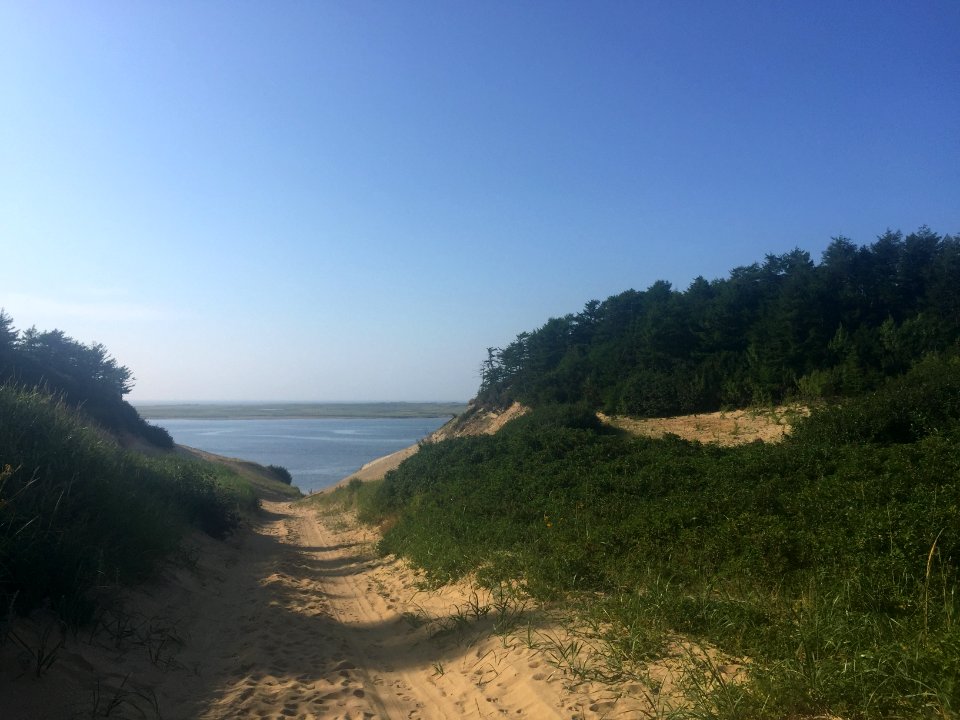The shores of the Pomor bay. 17
