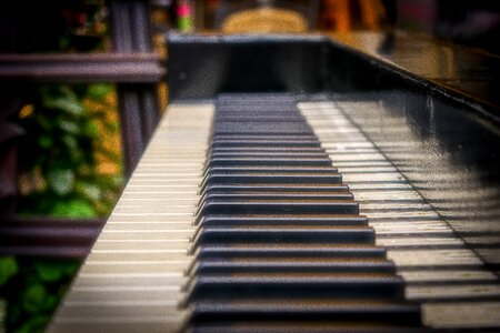 Musical instrument keyboard instrument close up photo