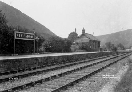 The station New Radnor (1294100)