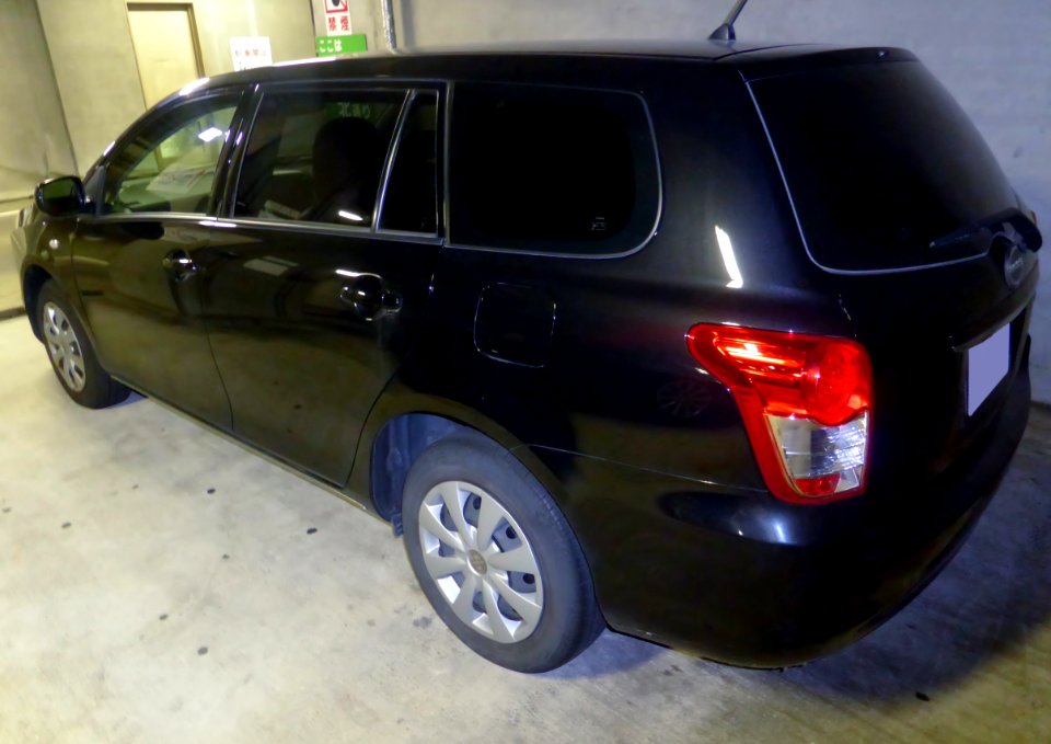 The rearview of Mitsuoka NOUERA 6-02 Wagon
