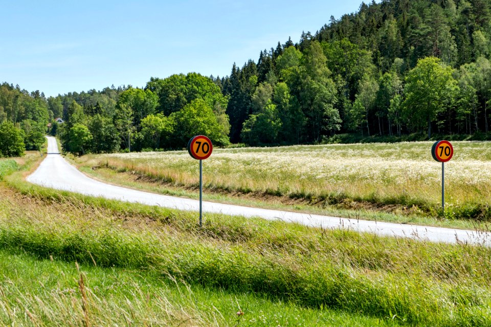 The road to Röe gård
