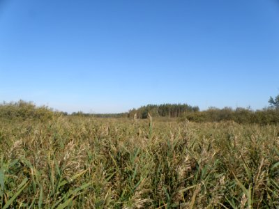 The Pol River valley