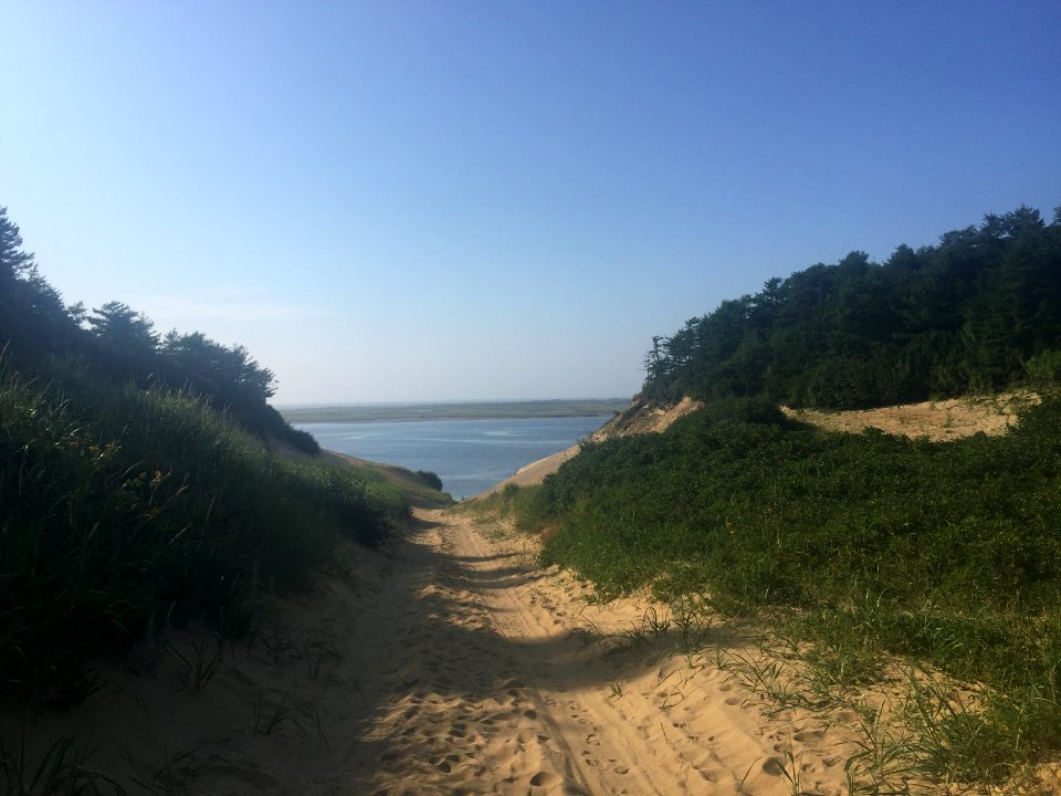 The shores of the Pomor bay. 16
