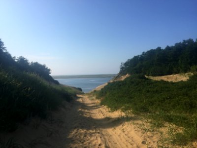 The shores of the Pomor bay. 16