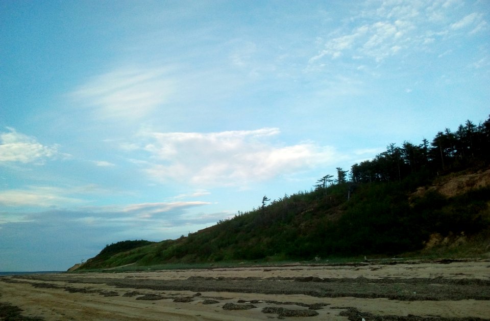 The shores of the Pomor bay. 10