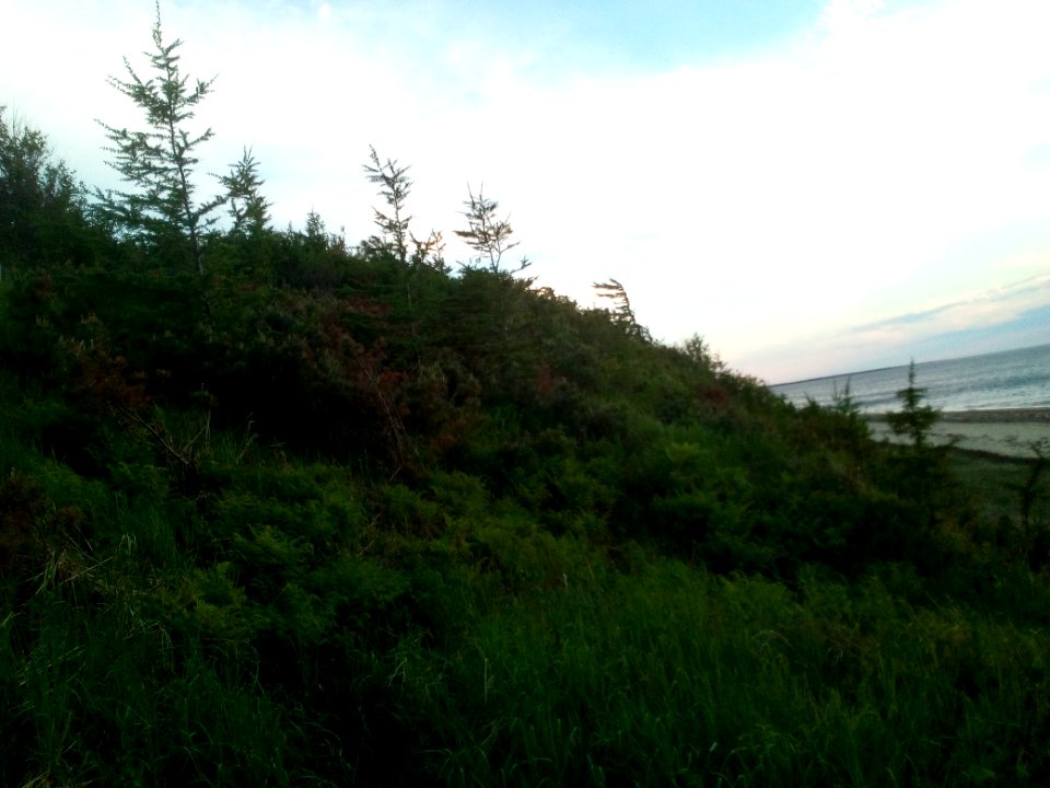 The shores of the Pomor bay. 04