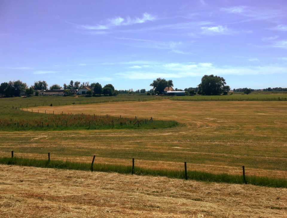 The Middelwaard (Loo, Lingewaard)