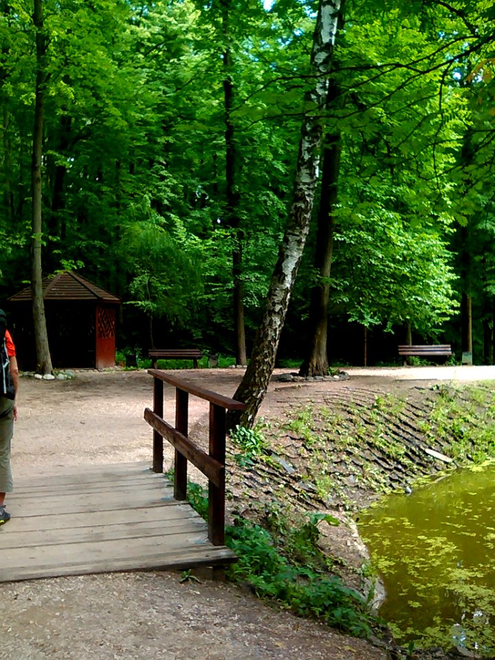 The nature of Bitzevski Park. 3