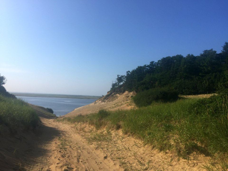 The shores of the Pomor bay. 15