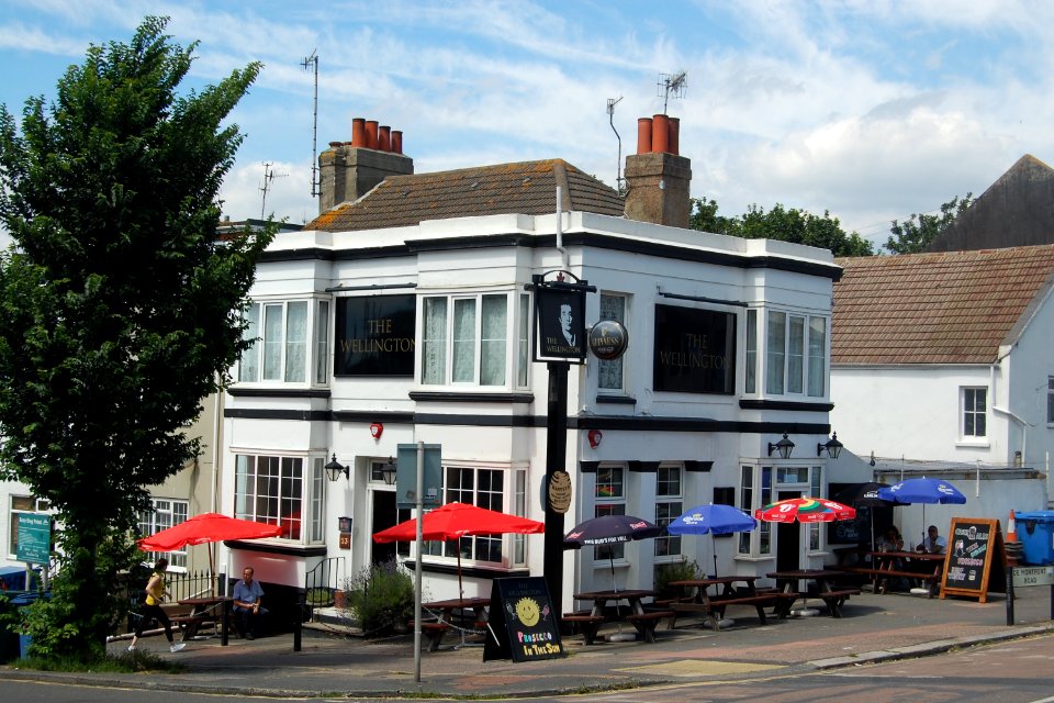 The Wellington pub, 53 Elm Grove, Brighton (July 2019) (3)