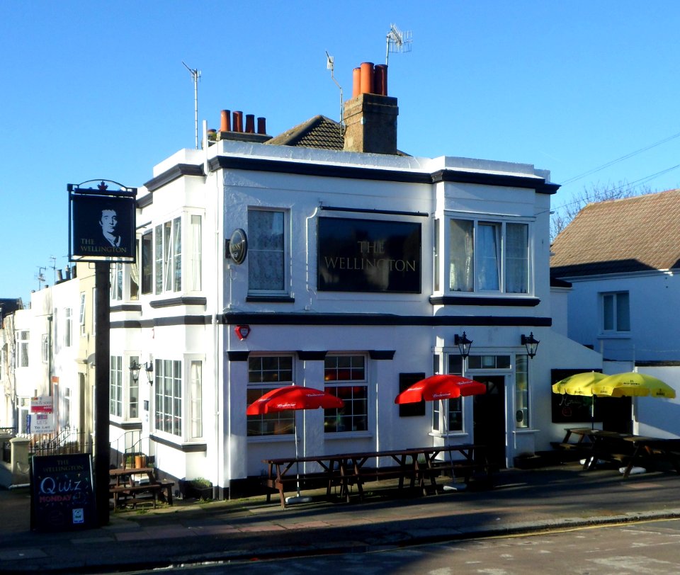 The Wellington pub, 53 Elm Grove, Brighton (January 2014)