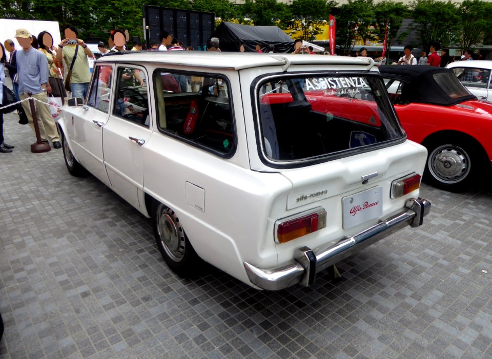 The rearview of Alfa Romeo Giulia Giardinetta