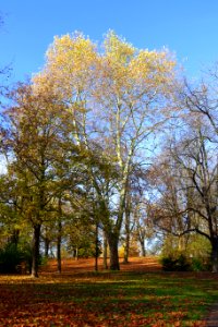 Theaterpark - Braunschweig, Germany - DSC04296