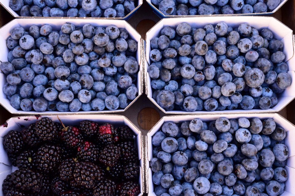 Fruits vitamins blue
