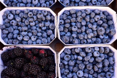 Fruits vitamins blue