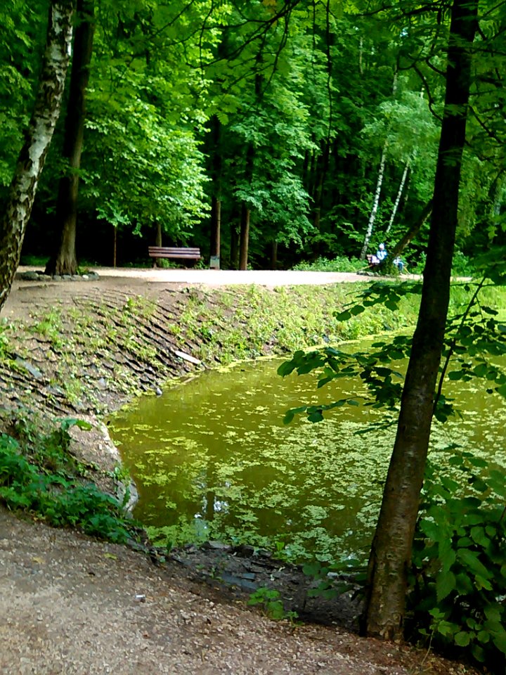 The nature of Bitzevski Park. 2