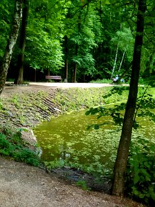 The nature of Bitzevski Park. 2