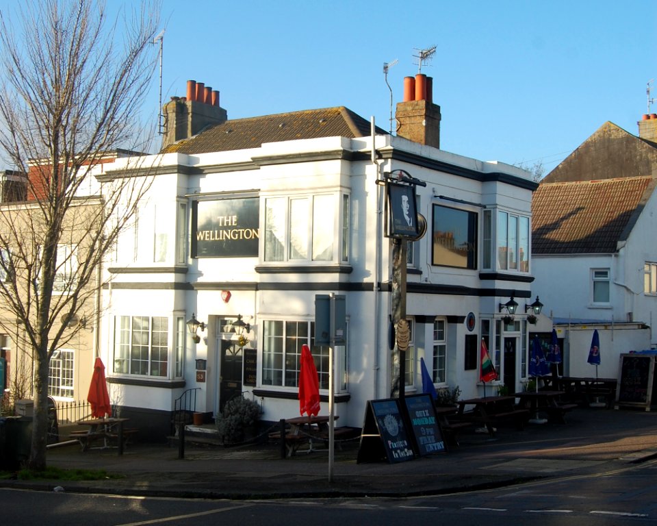 The Wellington pub, 53 Elm Grove, Brighton (February 2020) (1)