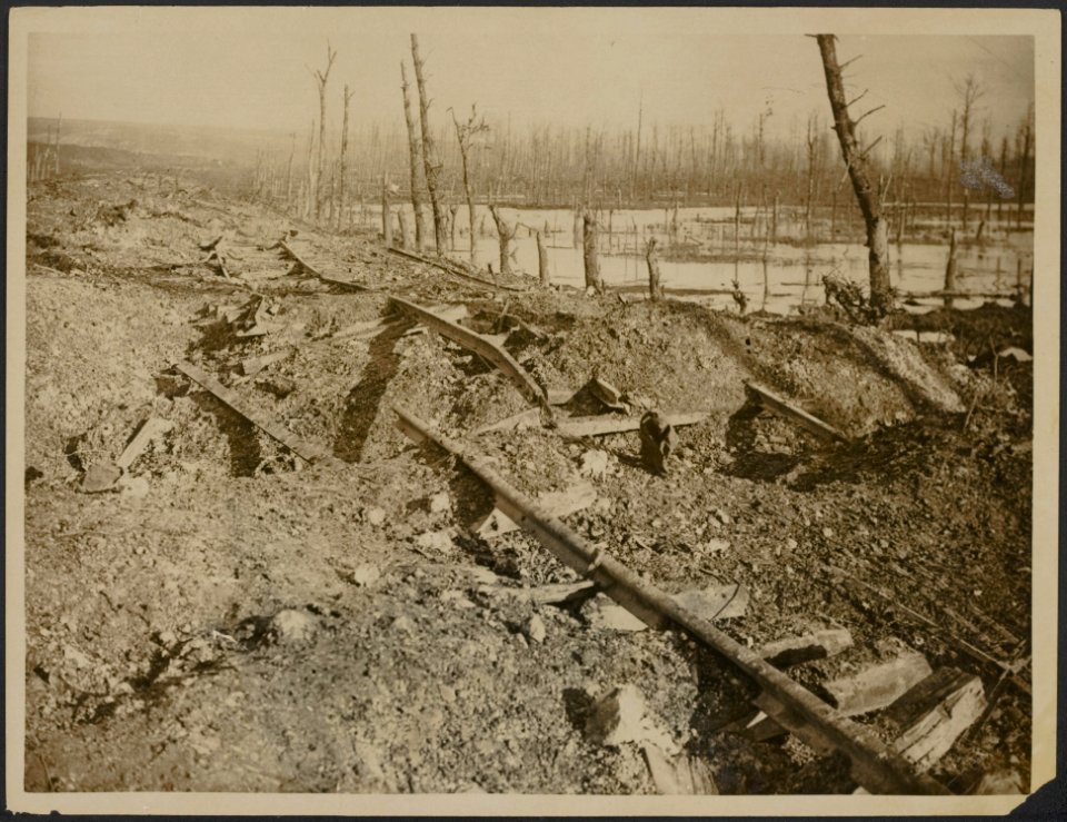The railway track at Beaucourt, Bestanddeelnr 158-2770