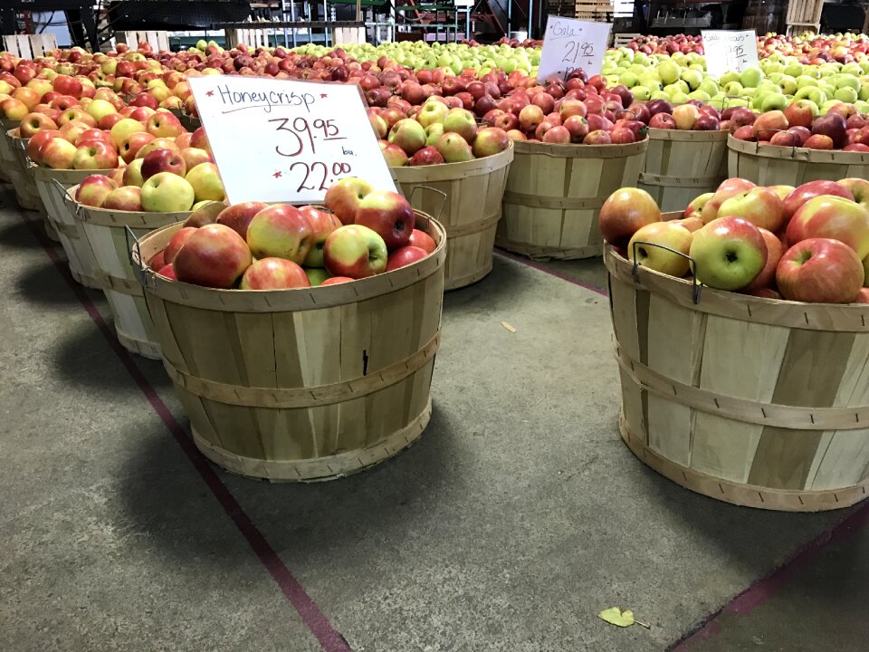 Fruit organic autumn