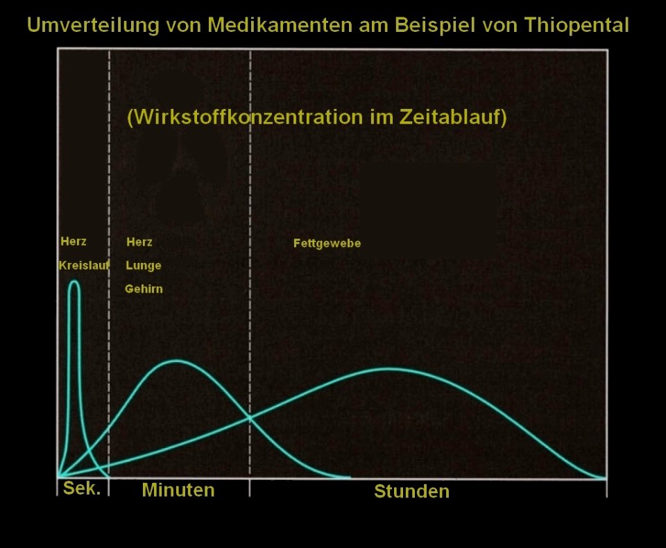 Thiopental Pharmakokinetik