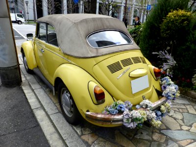 The rearview of Volkswagen Type 1 Cabriolet