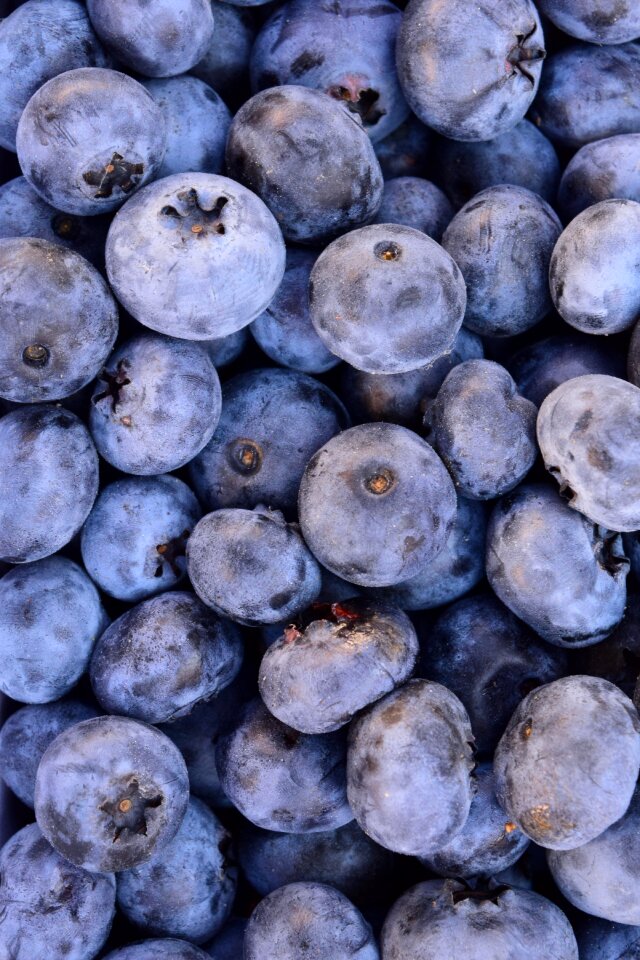 Fruits blue summer