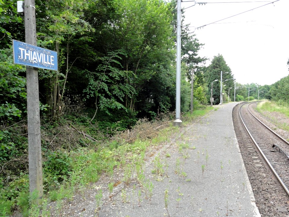 Thiaville-sur-Meurthe (M-et-M) la gare (02)
