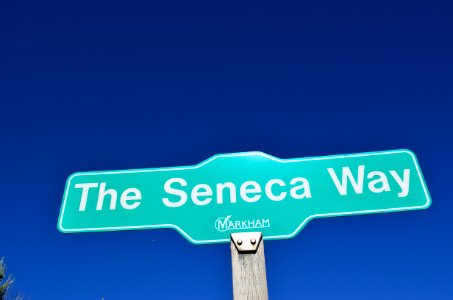 TheSenecaWay