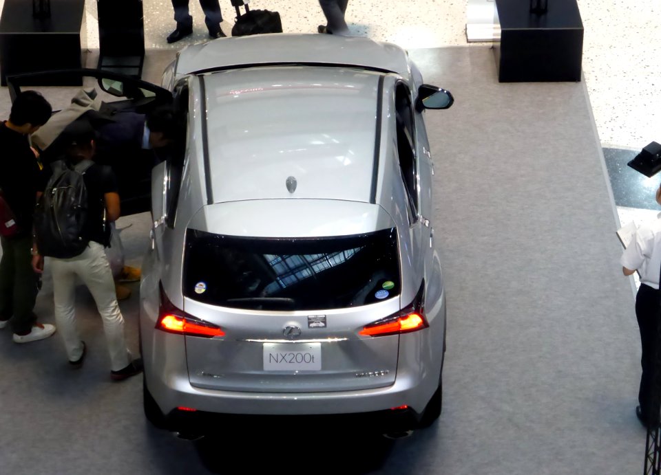 The upper part of Lexus NX200t F SPORT (AGZ10)