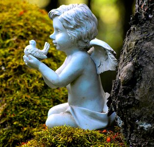 Sweet cute guardian angel