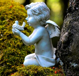 Sweet cute guardian angel photo