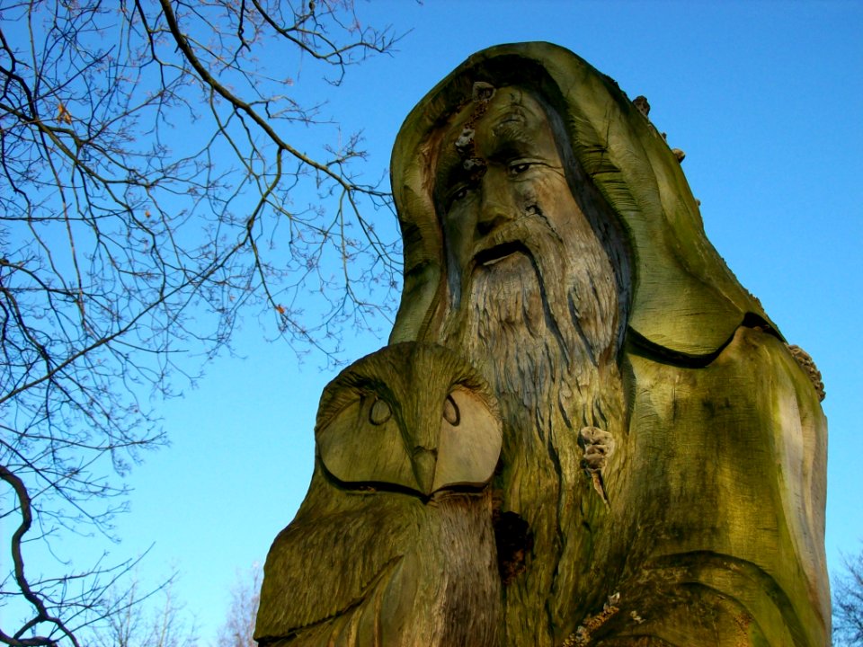 The Wizard of Worthington Park