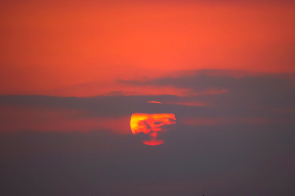 Summer sunlight sunset