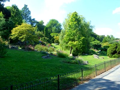The Rockery, Preston Park, Brighton (August 2013) (3)
