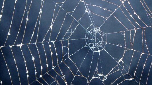 Mystical mysterious halloween