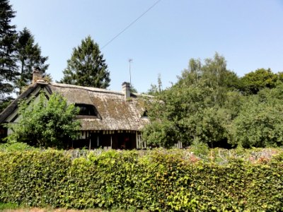 Thiétreville (Seine-Mar) chaumière au hameau du Buc