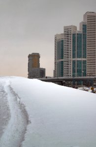 They Walk Along The Dirty Road (245661163)