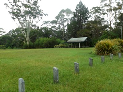 The Settlement picnic area at Springbrook, Queensland photo