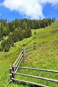 Alpine meadow austria landscape photo